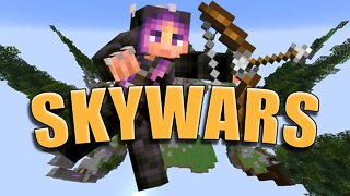 It's the Little Things - Skywars #2