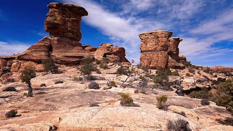 CANYONLANDS NATIONAL PARK / (MOAB UTAH)