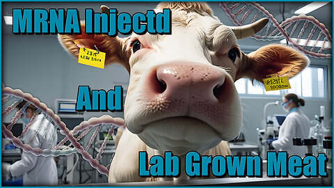 EP085 - 15 JUN 2024 - Lab Grown and Vaxed Meat