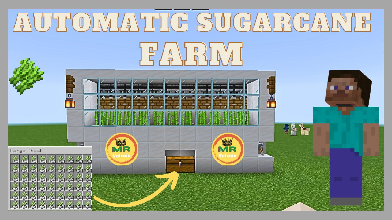 Sugar Cane Farm Java sugar cane farm, sugar cane farm 1.19 bedrock, Minecraft in Hindi