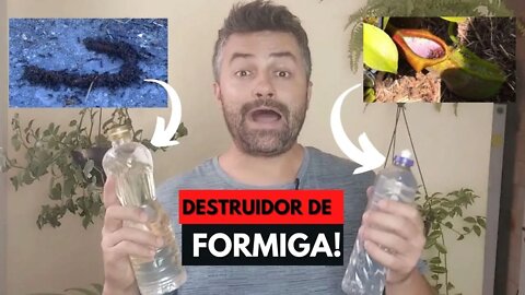 COMO ACABAR COM AS FORMIGAS SEM DESTRUIR SUAS PLANTAS?