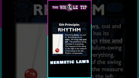 HERMETIC LAWS VI CAUSE & EFFECT - the Whole Tip Daily #shorts