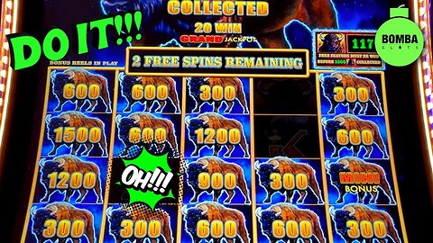 HOW MANY BUFFALOS ARE THERE??!!! #LasVegas #Casino #SlotMachine