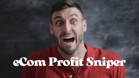 eCom Profit Sniper