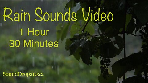 Take A Nap With 1 Hour And 30 Minutes Of Rain Sounds Video