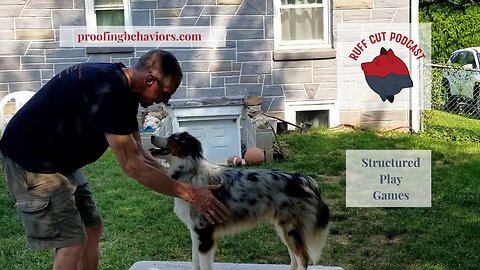 STRUCTURED PLAY GAMES Puppy Push Ups