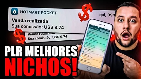 PRODUTOS PLR: Descubra OS 3 MELHORES NICHOS para PRODUTOS PLR!