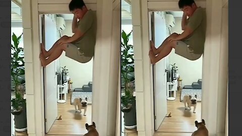 a man is hiding from his dogs, and the dogs can't find him