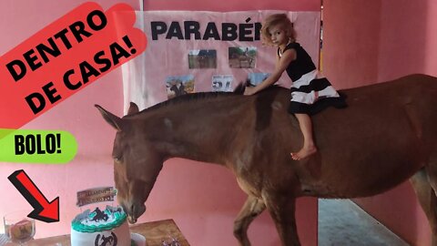 OLHA O QUE ESSE BURRO VIU DENTRO DE CASA - ANIVERSÁRIO DO VAQUEIRO PO