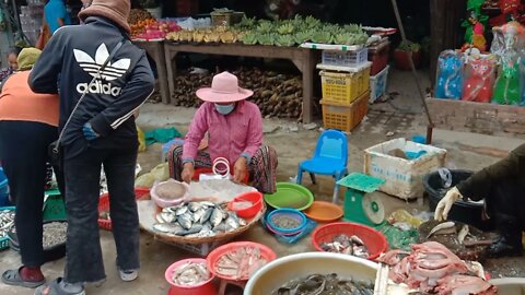 Driving from Phsa Pouk Siem Reap to Baray Tukvil, Lifestyle in Siem Reap 2021, Amazing Tour Cambodia