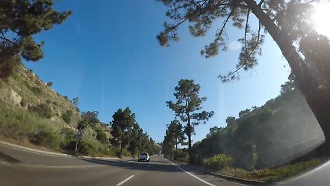 Blasian Babies DaDa Enjoys The Sun Diego Drive! I Wonder What Happened To The COVID Scamdemic?