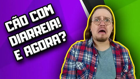 Cachorro com diarreia, o que fazer? | Dr. Edgard Gomes | Alimentação natural para Cães