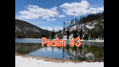 Psalm 43 (KJV)