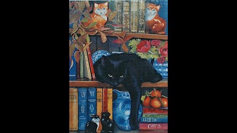 Cat on a Shelf Jigsaw Puzzle Time Lapse