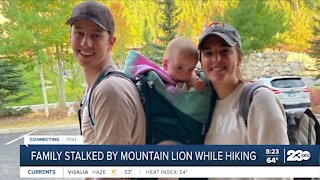 Family stalked by mountain lion while hiking