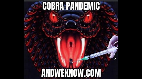 Andweknow.com- Cobra Pandemic