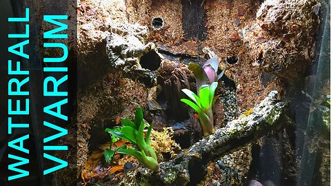 Vivarium Waterfall Build