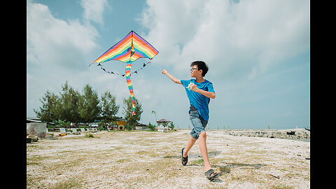 The International Kite Festival of India | It Happens Only in India | National Geographic