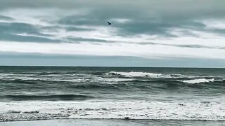 Pacific Ocean At Long Beach Washington.