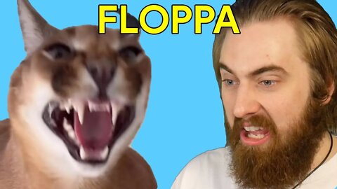 BIG FLOPPA - Fav of the Week