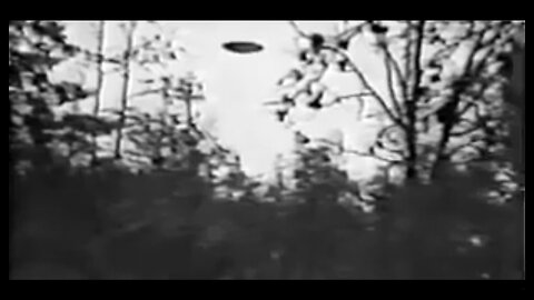 “Just above the tree line.” UFOs witnessed near trees or in the woods