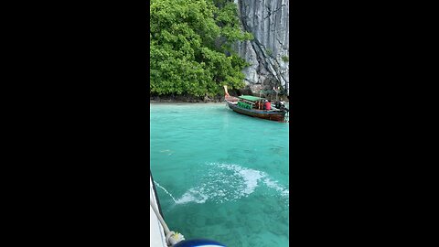 Monkey’s Diving at Phi Phi Islands, Thailand