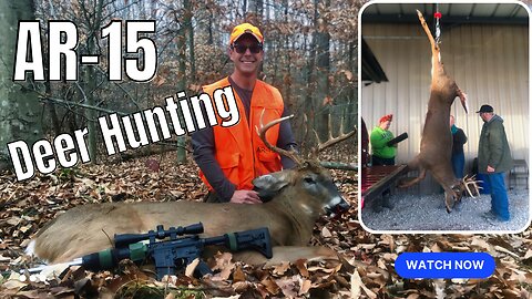 AR-15 Hunting 9 Point Whitetail Buck - 375 SOCOM