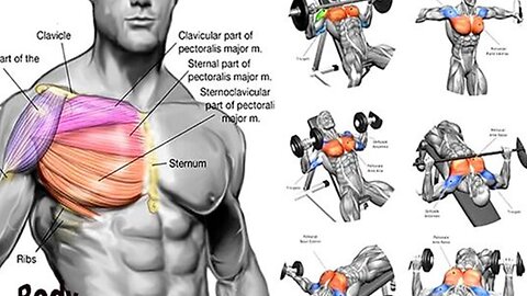 7 Best Workout For Chest