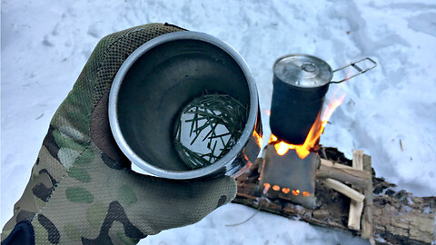 How to make Pine Needle Tea