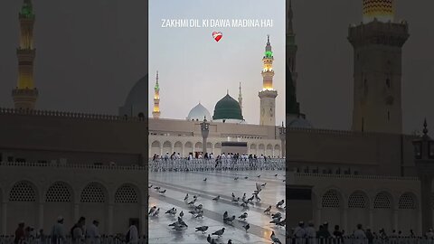 Zakhmi Dil Ki Dawa Madina Hai | #muhammadﷺ #madina #islam #islamic #reels #short #subscribe