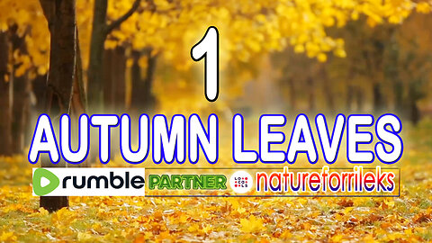 Autumn Leaves Part-1