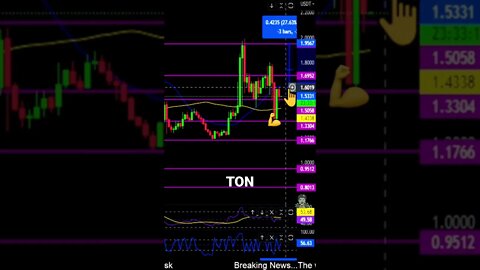 TonCoin held its own! Price levels to watch.👀💎🙌💪