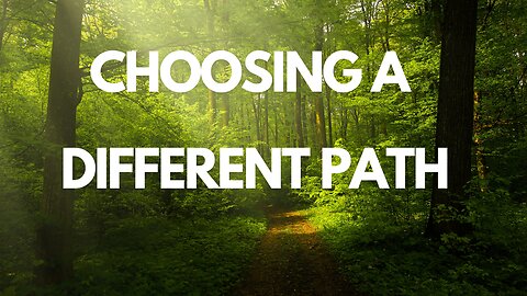 Choosing a Different Path & Dog walk through the woods