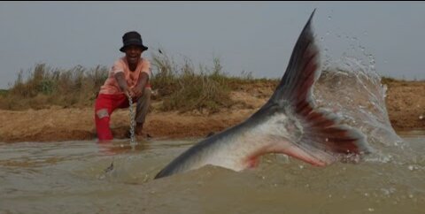 Amazing Fishing With A Chicken In The River Deep Underground 10kg Monster Catching #monster_fishing