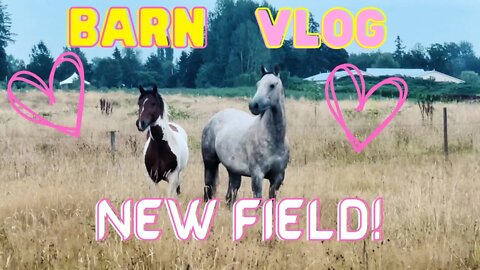 Barn Vlog| Moving My Horses To Their New HUGE Field