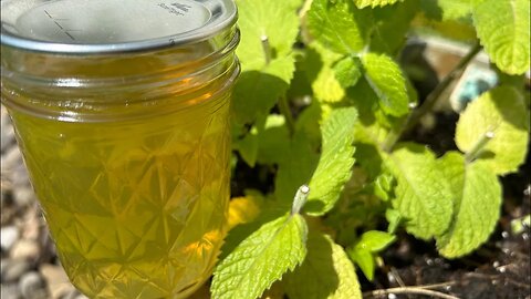 Mint Jelly Recipe