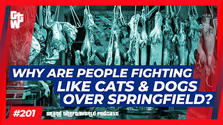 Why are People fighting like Cats & Dogs over Springfield? | #GrandTheftWorld 201 (Clip)
