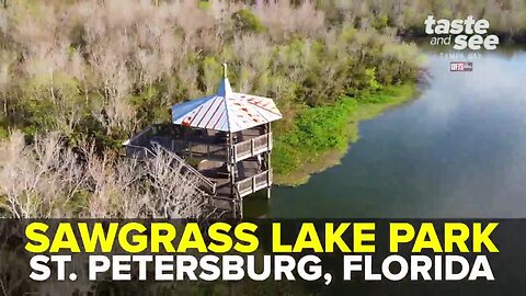 Sawgrass Lake Park in St. Pete | Taste and See Tampa Bay