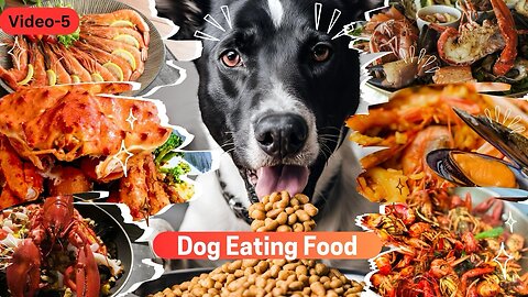 Dog Eating Food | Video-05