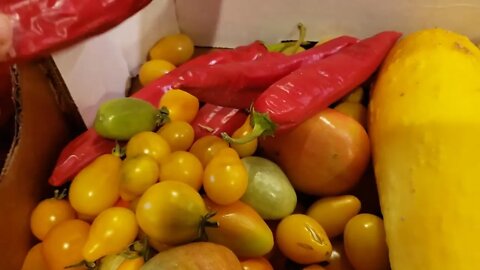 Harvests, Canning, and Slowly putting the garden to bed