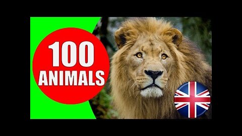 Animals for Kids to Learn - 100 Animals for Kids, Toddlers and Babies in English | Educational Video