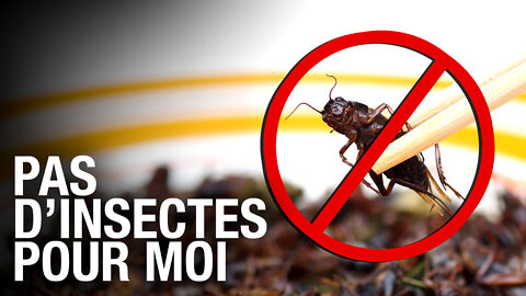 Je ne mangerai pas les insectes, cest assez - Repoussons