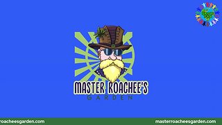 Master Roachee Monday