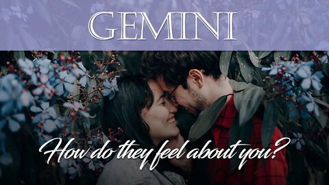 Gemini - How do they feel about you? Nov 23-29