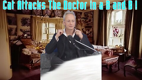 Cat Attacks The Doctor In a B and B !