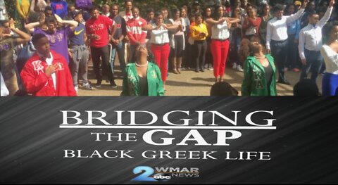 Bridging the Gap: Black Greek Life