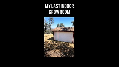 Last grow room- Serra Nevada's in California