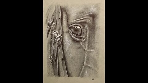 Ballpoint Pen Drawing of a Horse Eye, how to draw