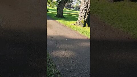 Municipal parks over watering