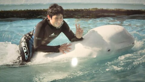 El Paraíso marino de Isla Hakkeijima